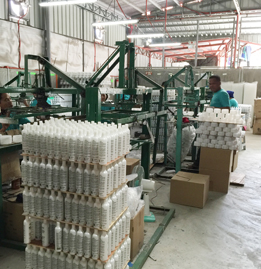 ctems philippines packaging bottle printing silk screen pet valenzuela ugong hdpe pet pp sprayers caps lotion pump